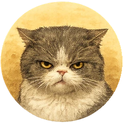 Cat avatar