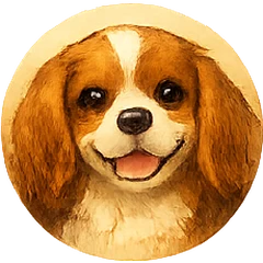 Cavalier avatar