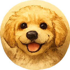 Cavapoo avatar