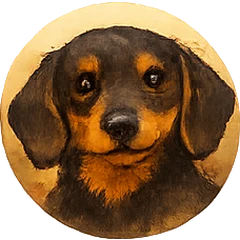 Mabel the dachshund