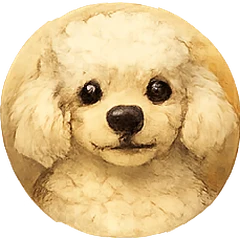 Poodle avatar