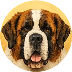 Saint Bernard avatar